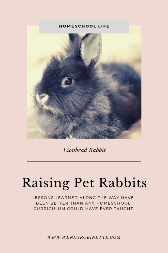 Raising Pet Rabbits has been a huge learning experience for this homeschool family! #raisingpetrabbits #raisingrabbits #homeschool #handsonlearning
