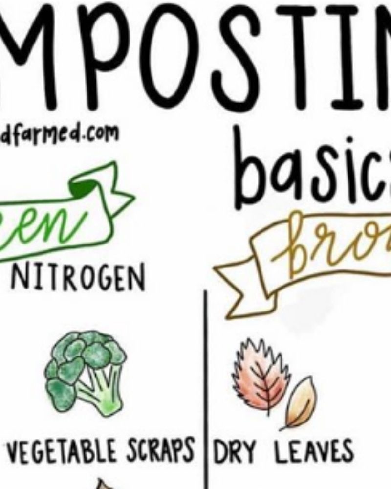 How To Compost