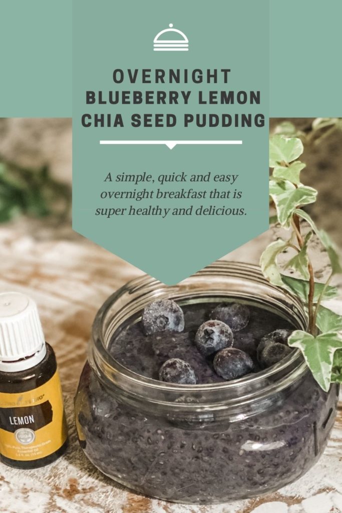 Overnight Blueberry Lemon Chia Seed Pudding. Overnight Breakfast.