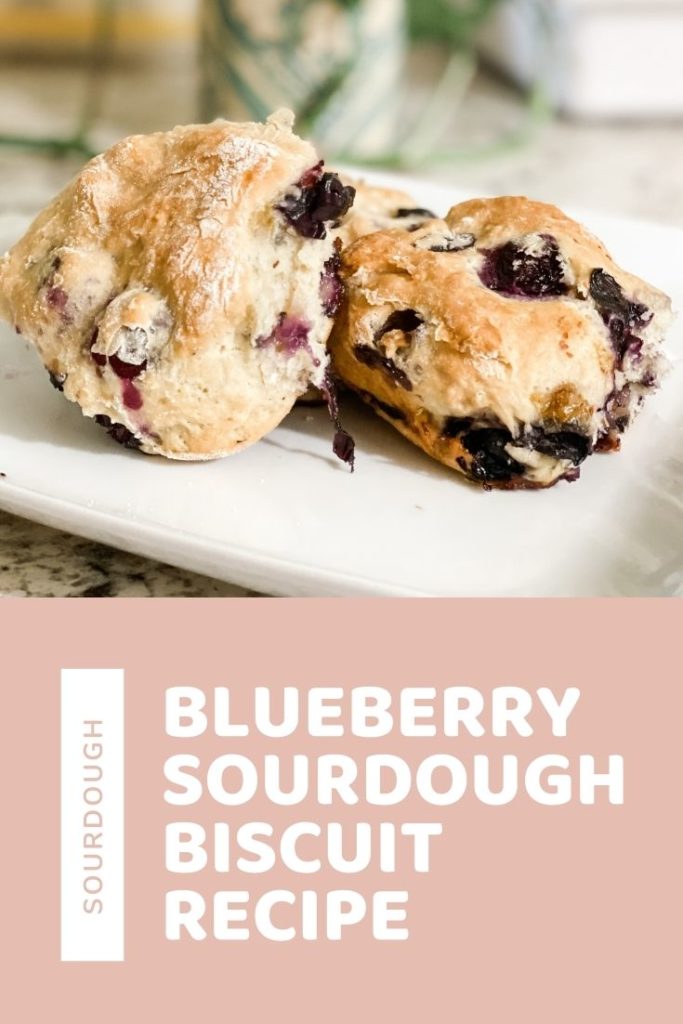 Blueberry sourdough biscuit recipe